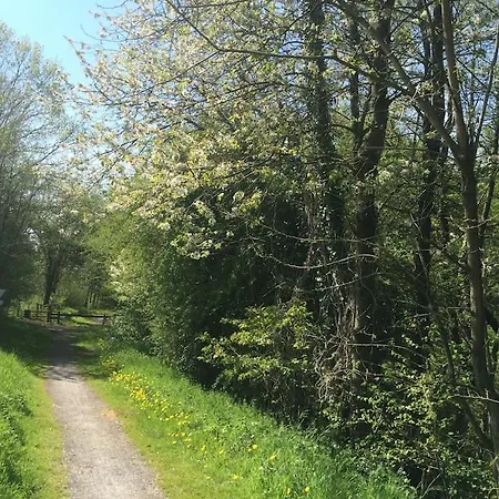 Maison Au Coeur Du Parc Naturel De L'avesnois *