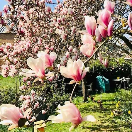 別荘 Maison Au Coeur Du Parc Naturel De L'avesnois *