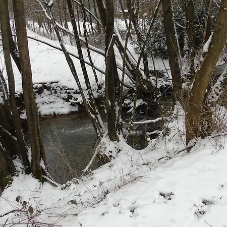 Maison Au Coeur Du Parc Naturel De L'avesnois