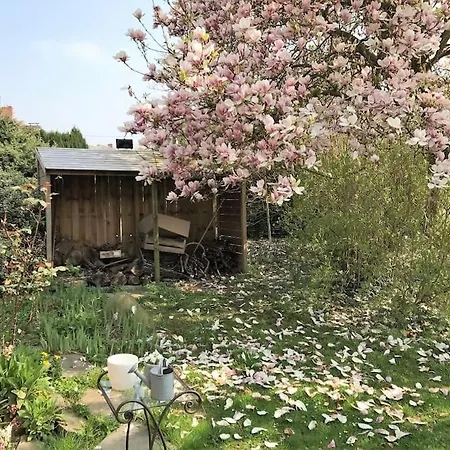 Maison Au Coeur Du Parc Naturel De L'avesnois Choisies