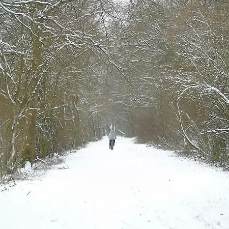 Maison Au Coeur Du Parc Naturel De L'avesnois *