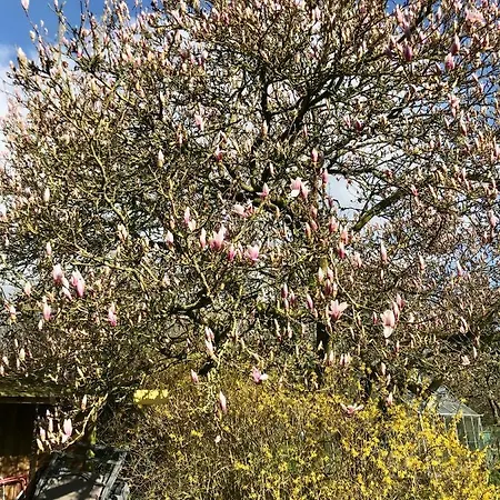 Maison Au Coeur Du Parc Naturel De L'avesnois 別荘 *