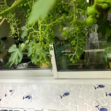 別荘 Maison Au Coeur Du Parc Naturel De L'avesnois Choisies